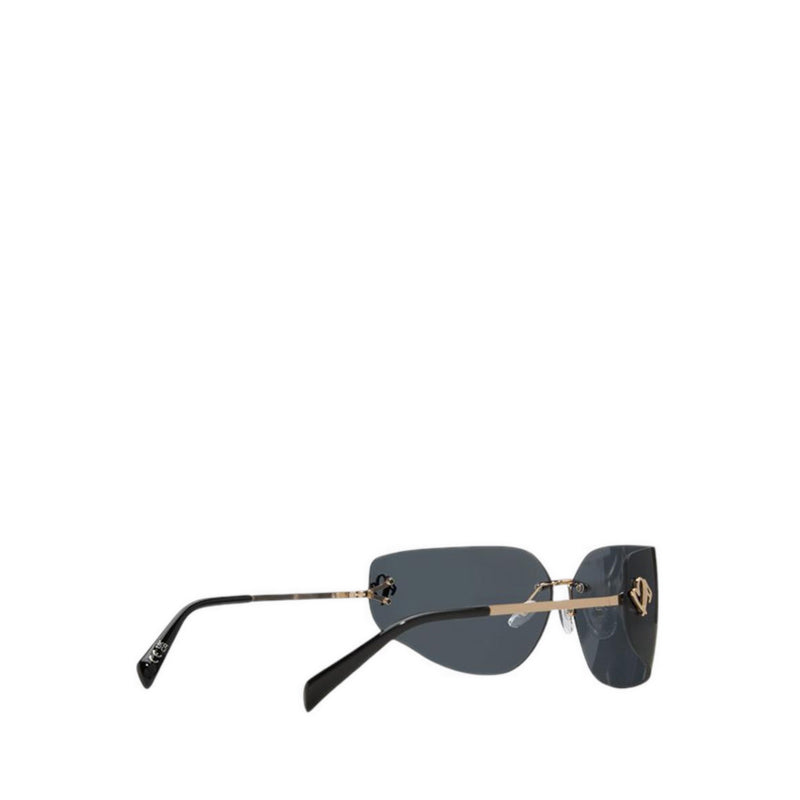 Aldo Pigowen Sunglasses - Gold
