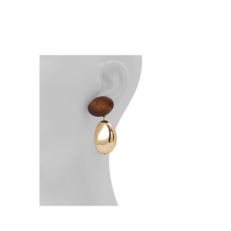 Aldo รุ่น Teyrra ต่างหู - สี Other Brown