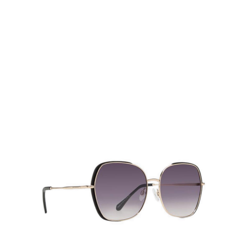 Aldo Sandeman Sunglasses - Black/Gold Multi