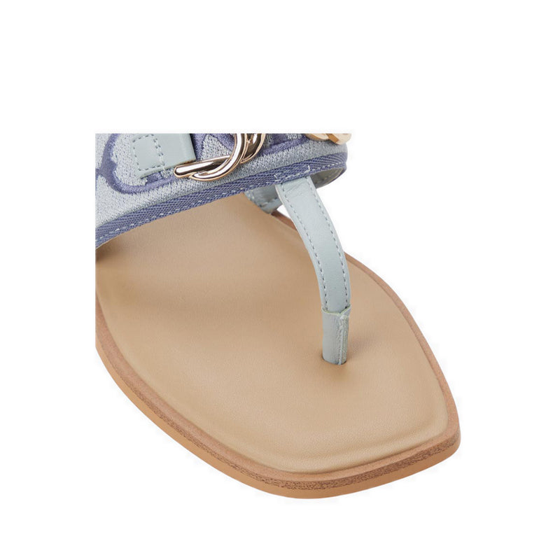 Aldo รุ่น Coralynna รองเท้าแตะผู้หญิง - สี Other Blue