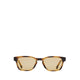 Aldo รุ่น Arigolin แว่นตากันแดด ผู้ชาย สีน้ำตาล