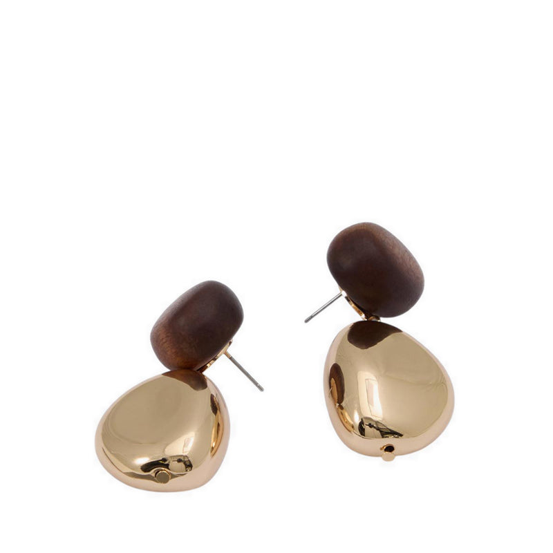 Aldo รุ่น Teyrra ต่างหู - สี Other Brown