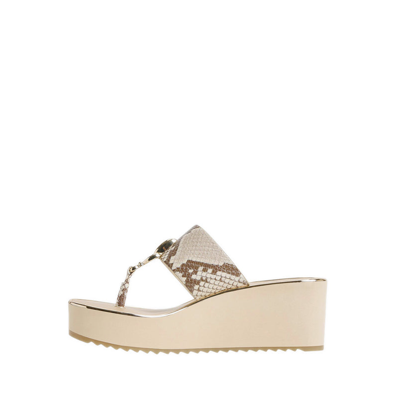 Aldo รุ่น Penelopy รองเท้าแตะชายหาดผู้หญิง - สี Brown Multi