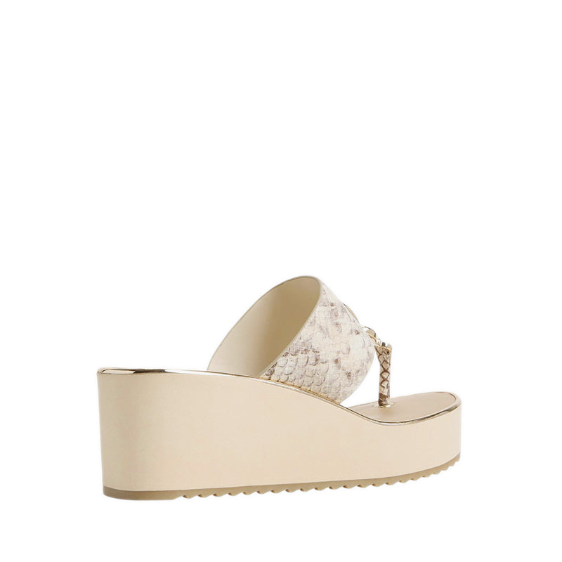 Aldo รุ่น Penelopy รองเท้าแตะชายหาดผู้หญิง - สี Brown Multi