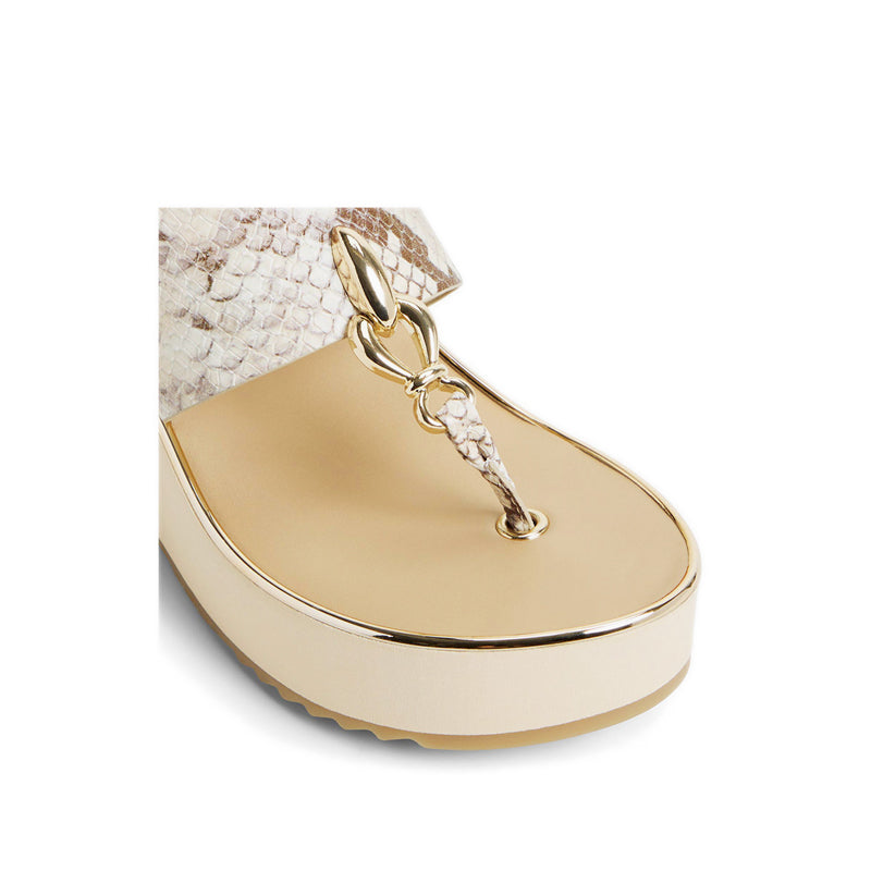Aldo รุ่น Penelopy รองเท้าแตะชายหาดผู้หญิง - สี Brown Multi