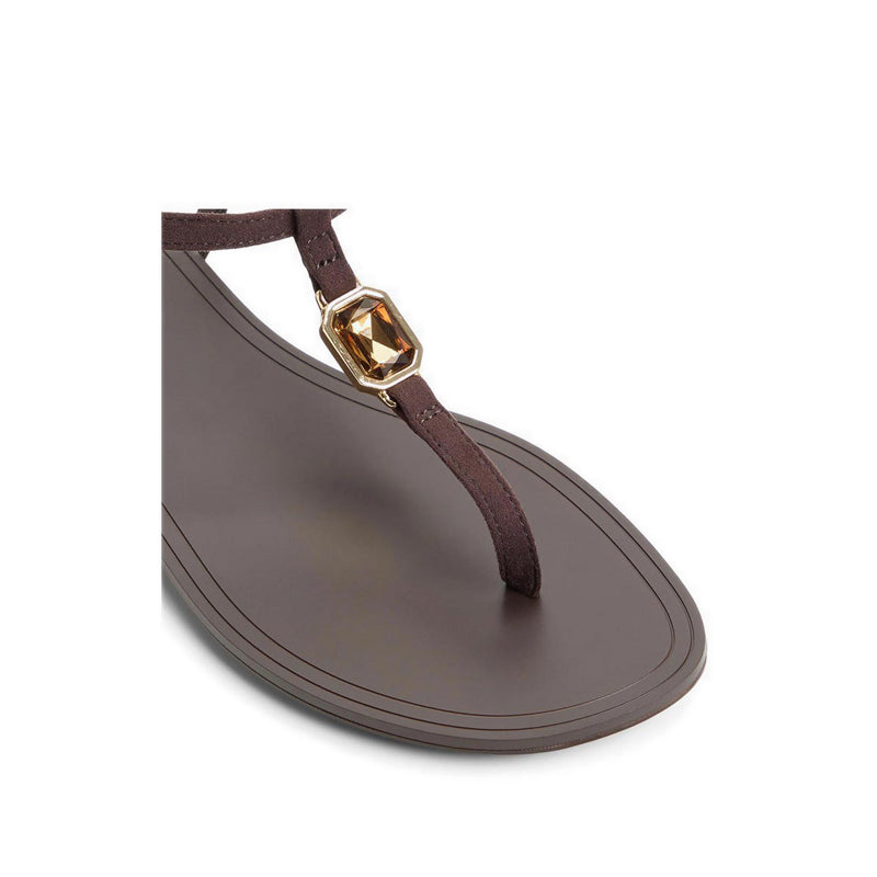 Aldo รุ่น Sandstone รองเท้าแตะผู้หญิง - สี Dark Brown