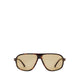 รุ่น Asppen-F แว่นกันแดด ผู้ชาย - สีน้ำตาล